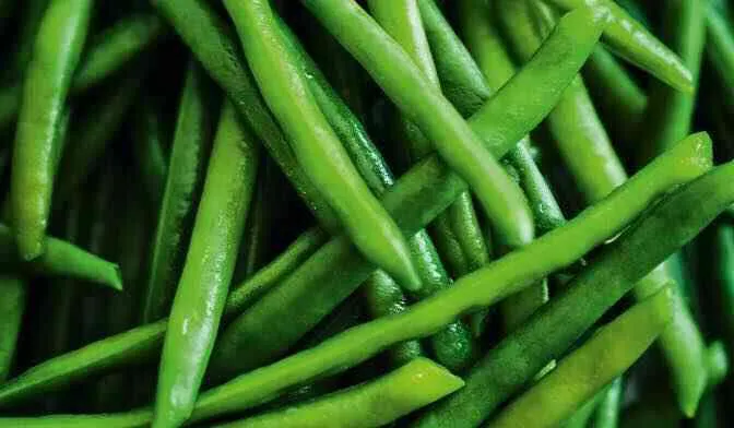Haricots verts extra-fins, France