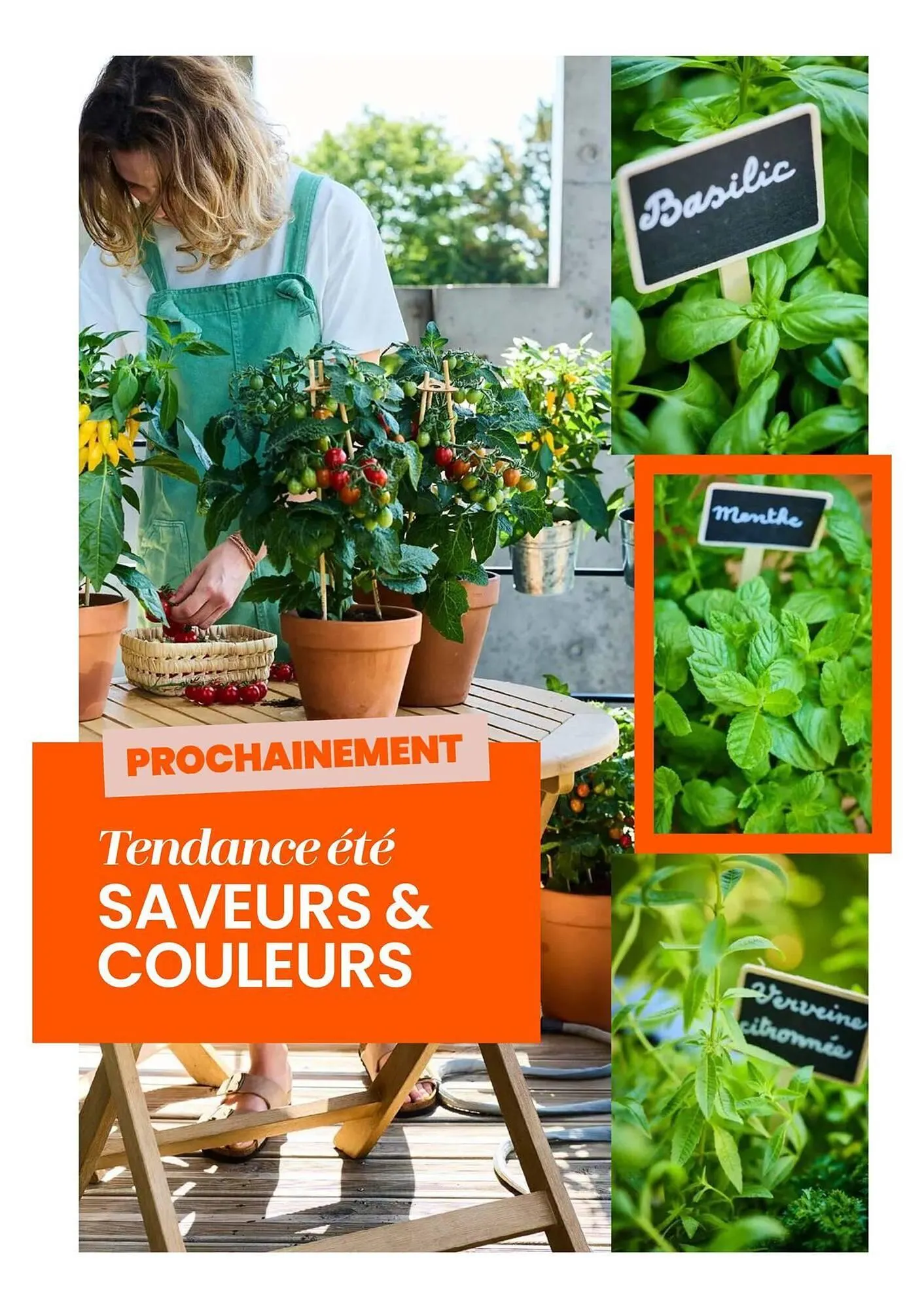 Catalogue Truffaut du 7 avril au 31 mai 2026 - Catalogue page 23