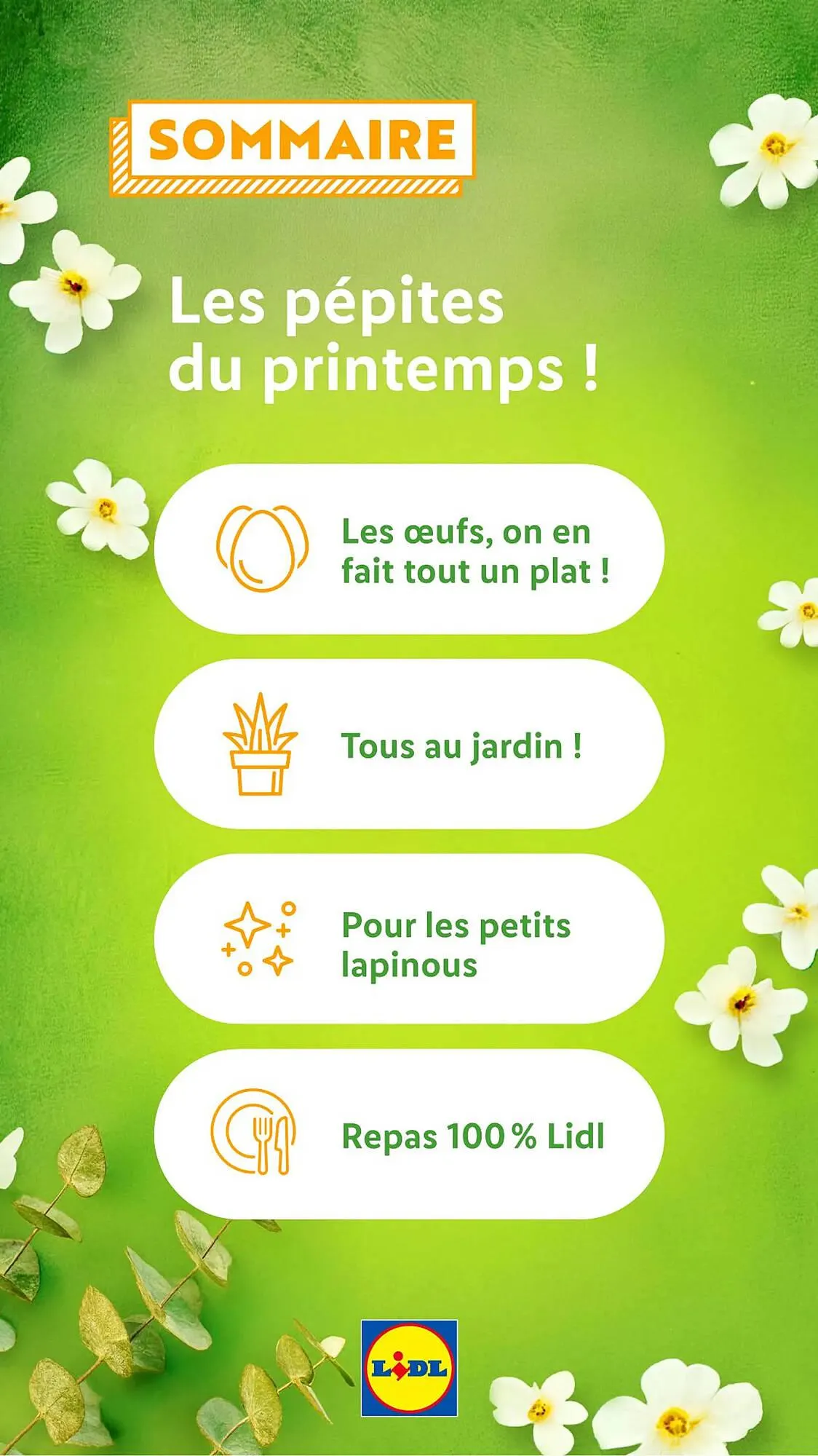 Catalogue Lidl du 13 mars au 27 avril 2025 - Catalogue page 2