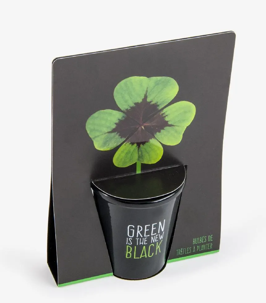 Kit DIY Trèfle à quatre feuilles à planter