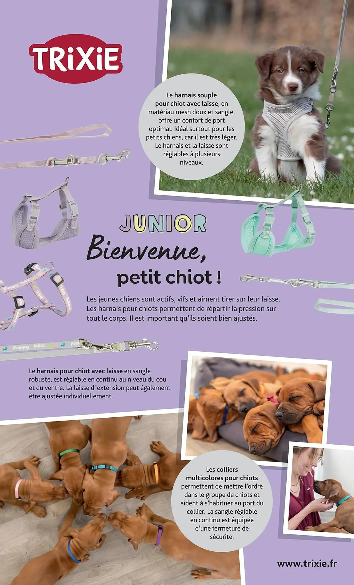 Catalogue Tom&Co du 27 août au 7 septembre 2025 - Catalogue page 11