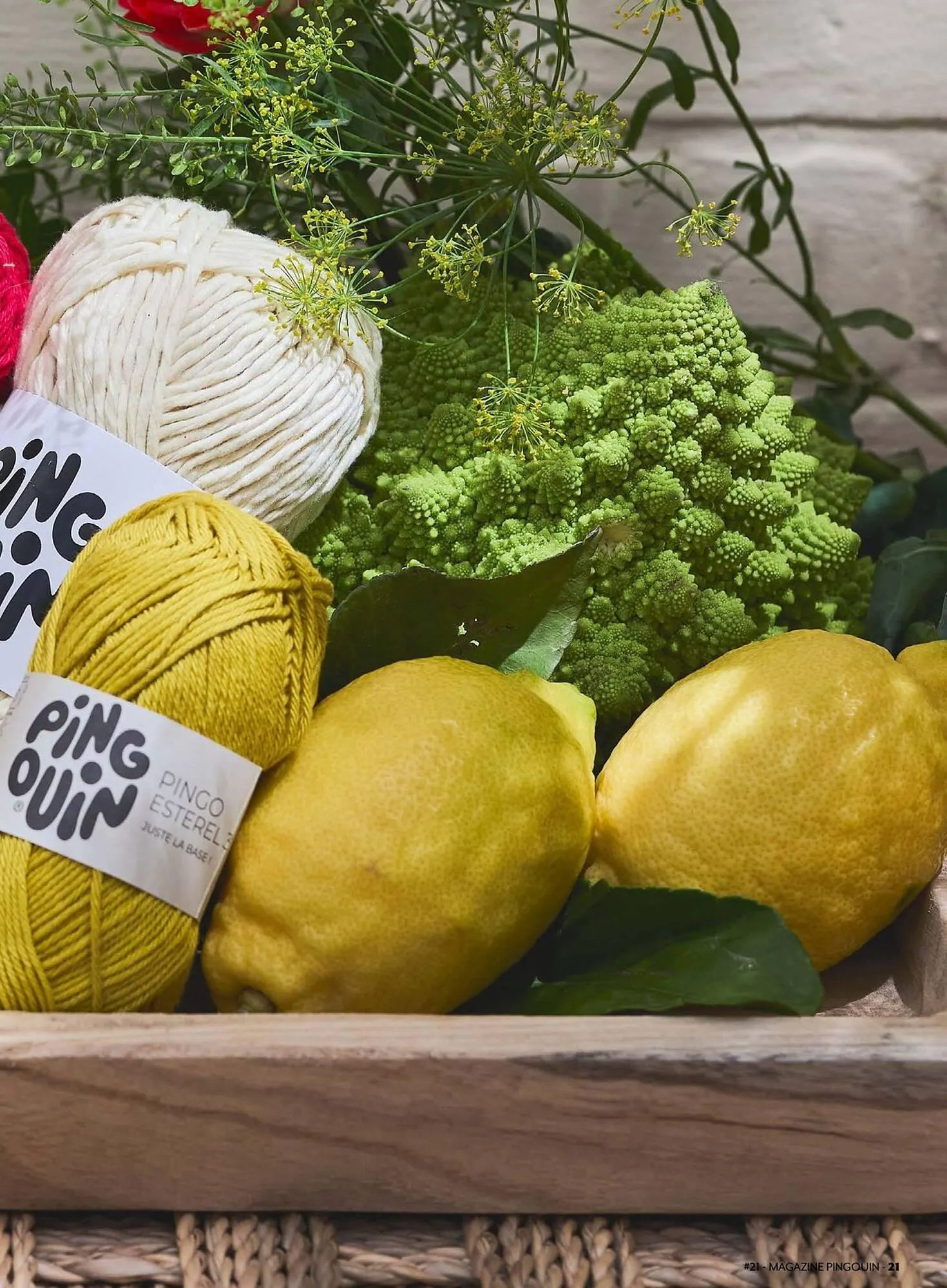 Catalogue Phildar du 2 mars au 31 août 2026 - Catalogue page 21