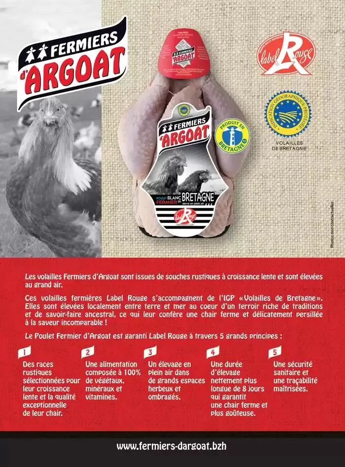 La main Verte du 12 mai au 31 décembre 2025 - Catalogue page 58