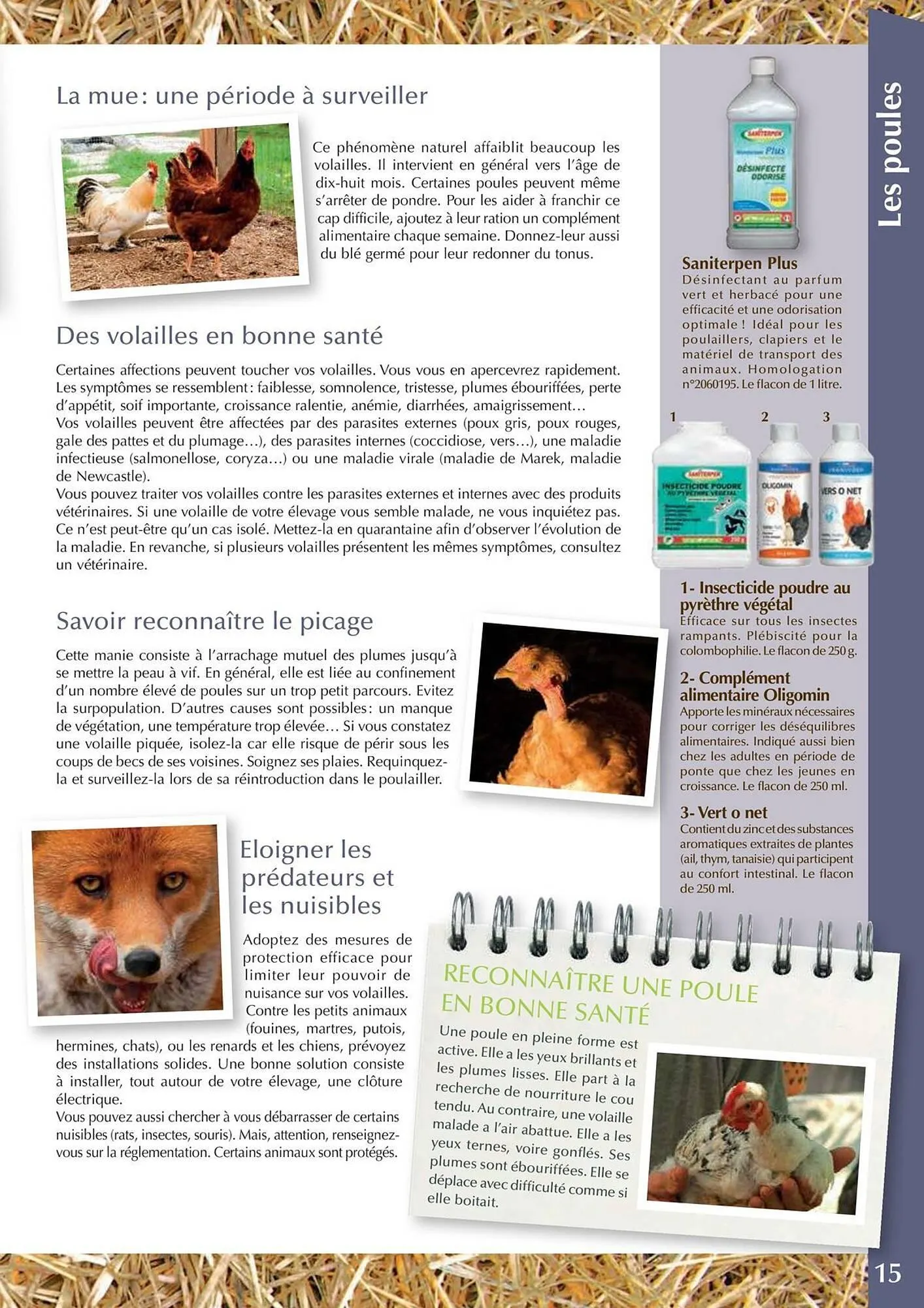 Catalogue Point Vert du 30 avril au 31 décembre 2025 - Catalogue page 15