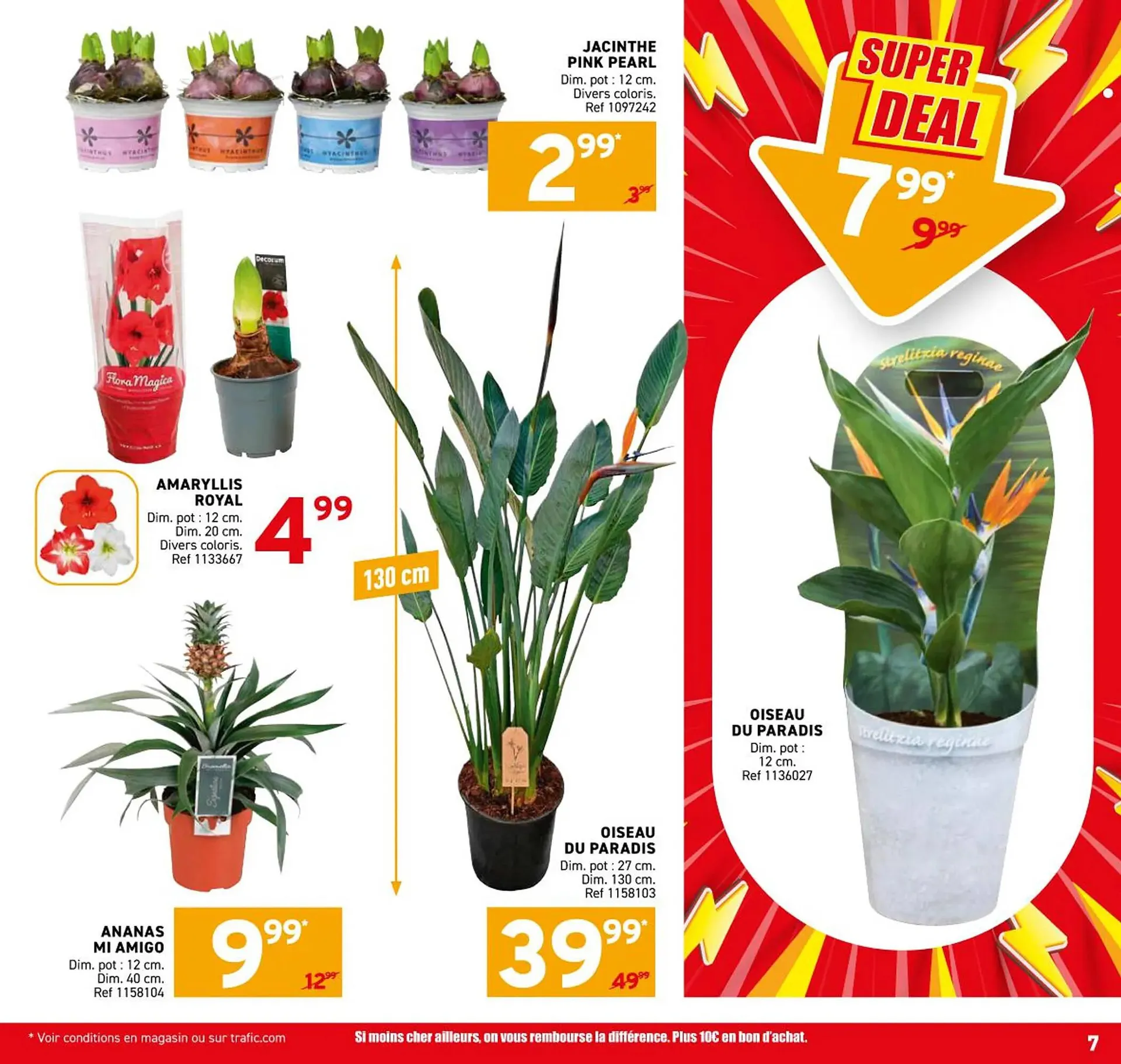 Catalogue Trafic du 29 octobre au 3 novembre 2025 - Catalogue page 7