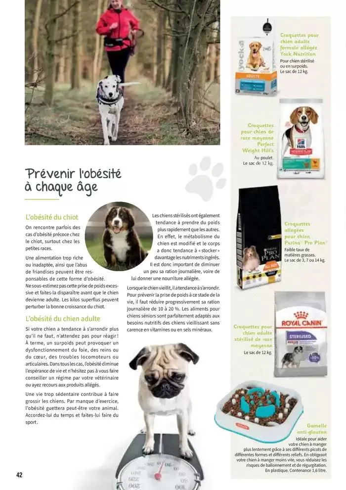 Le guide CHIENS & CHATS du 30 avril au 31 décembre 2025 - Catalogue page 42
