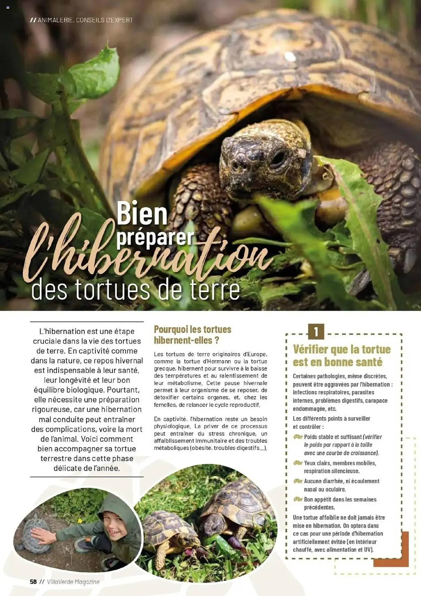 Catalogue VillaVerde du 19 septembre au 28 février 2026 - Catalogue page 58