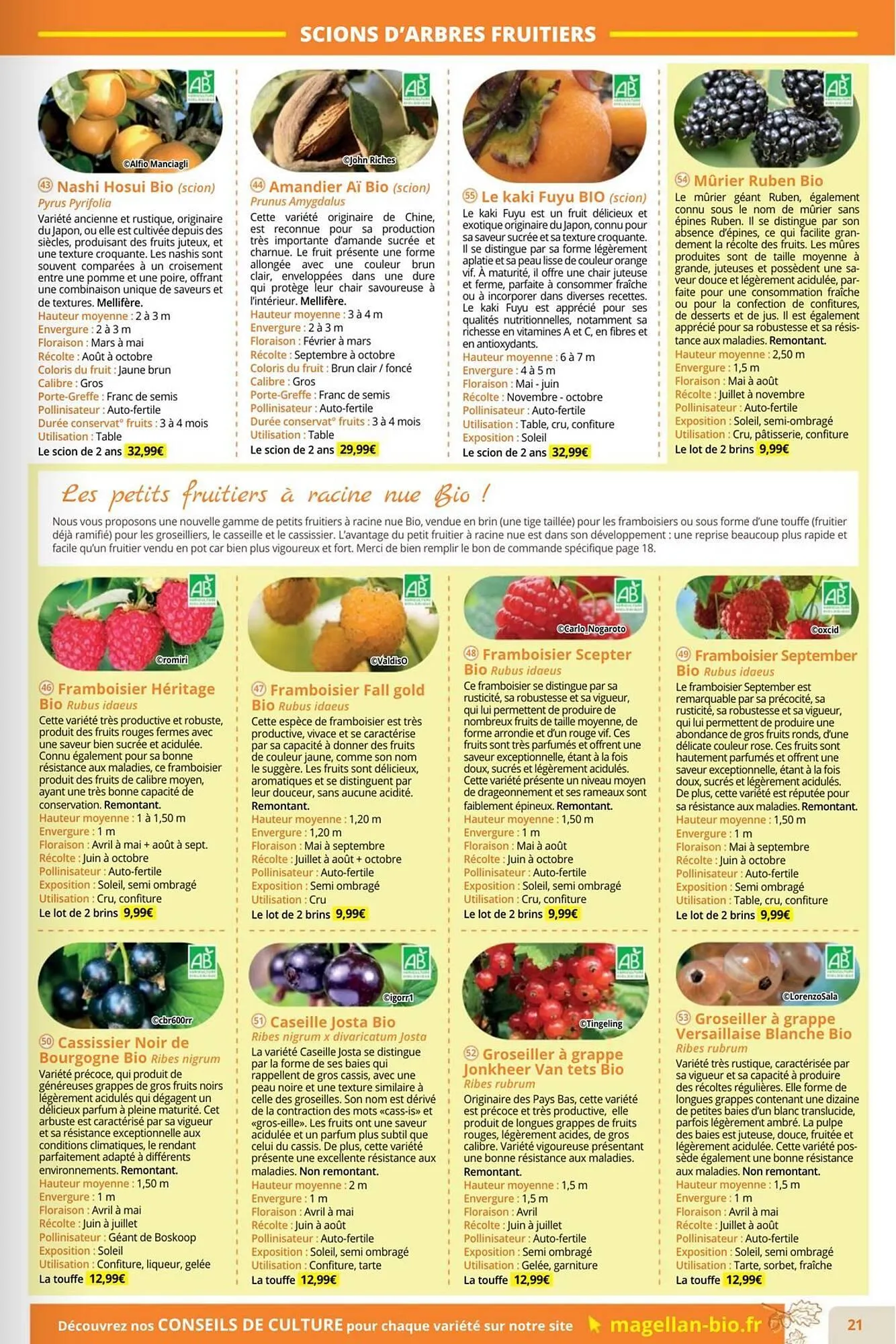 Catalogue Magellan du 1 septembre au 30 novembre 2025 - Catalogue page 21