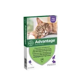 Pipettes anti puces pour les chats de +4 kilos