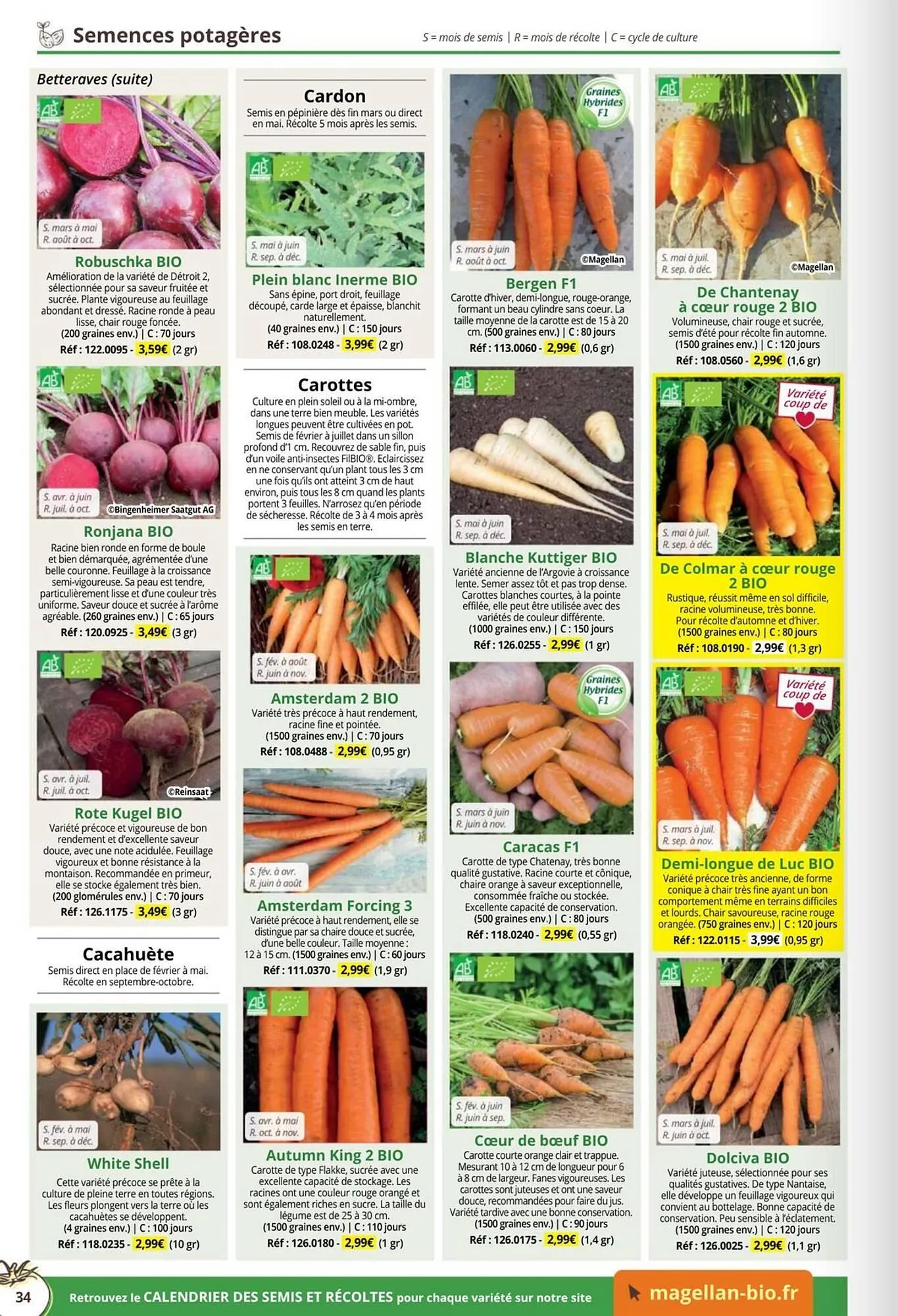 Catalogue Magellan du 1 janvier au 31 décembre 2026 - Catalogue page 34