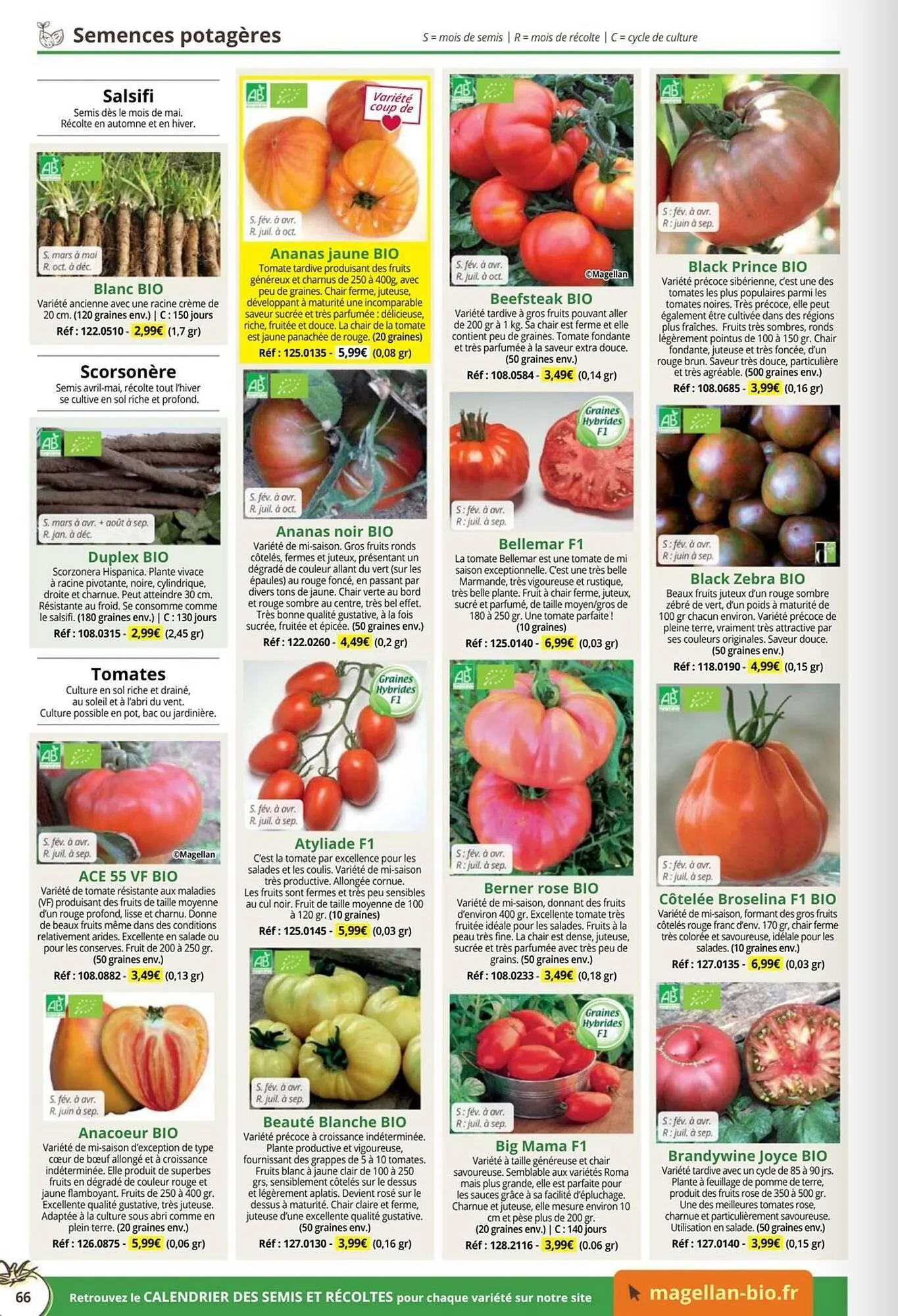 Catalogue Magellan du 1 janvier au 31 décembre 2026 - Catalogue page 66