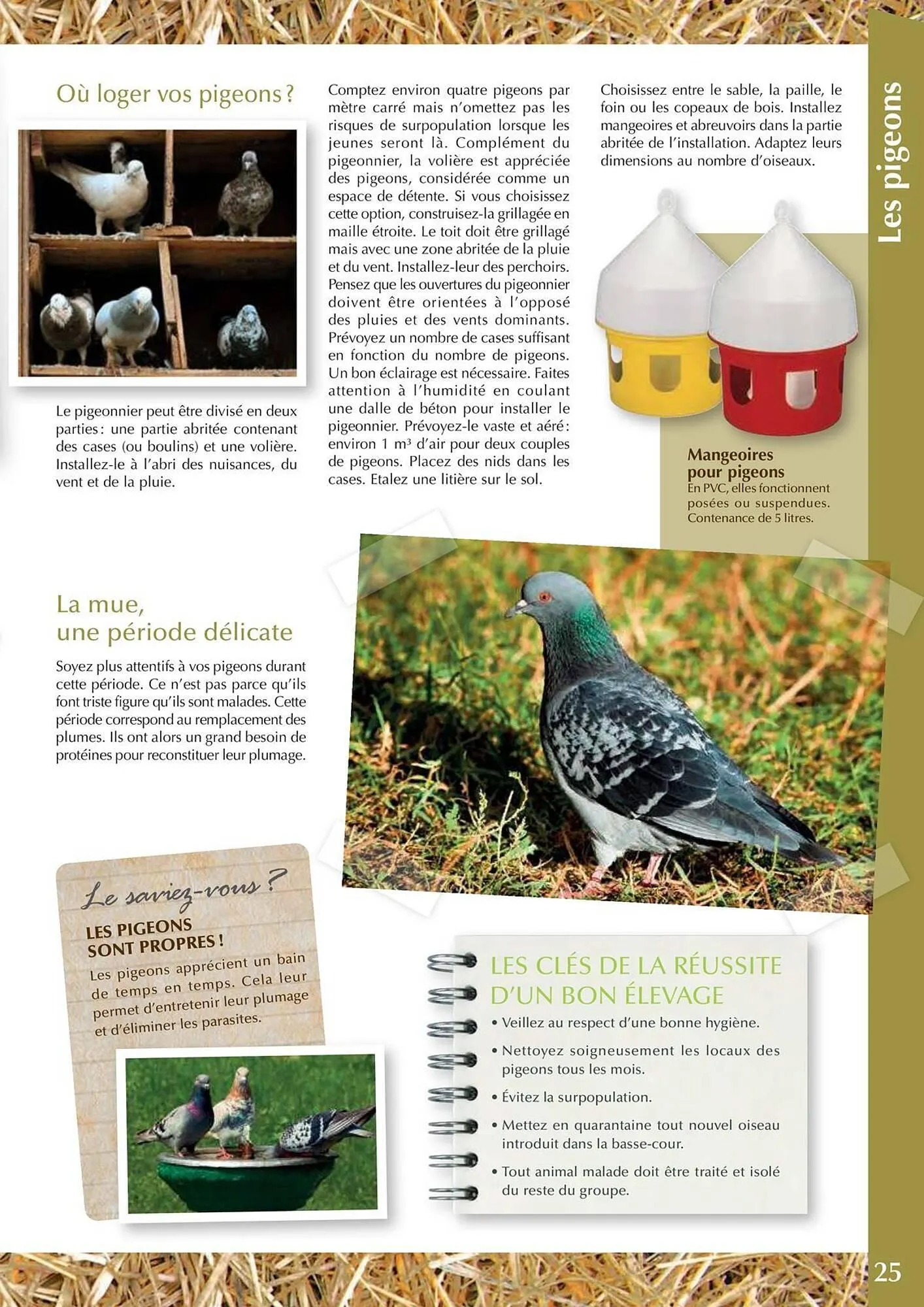 Catalogue Point Vert du 30 avril au 31 décembre 2025 - Catalogue page 25