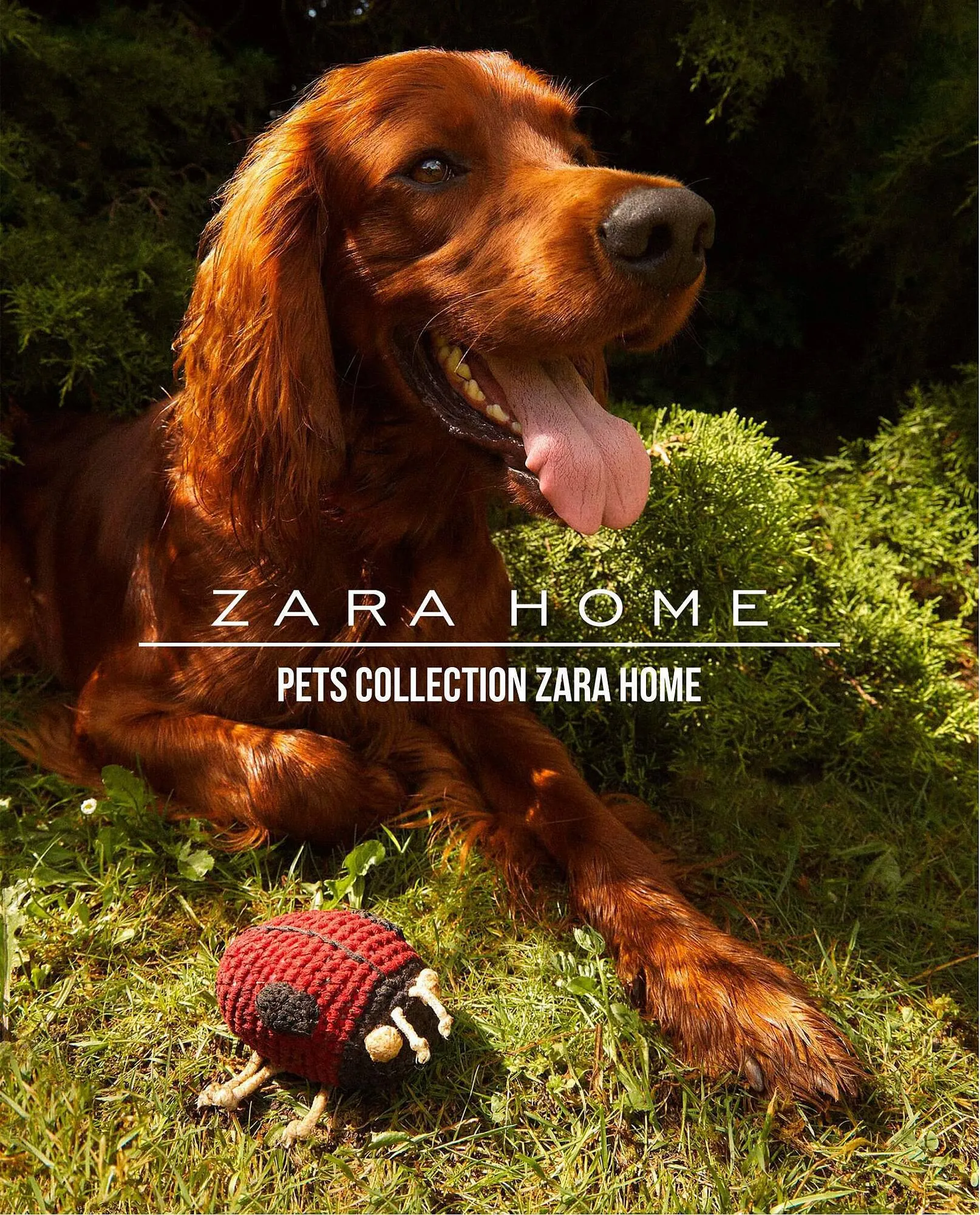 Catalogue Zara Home - 1