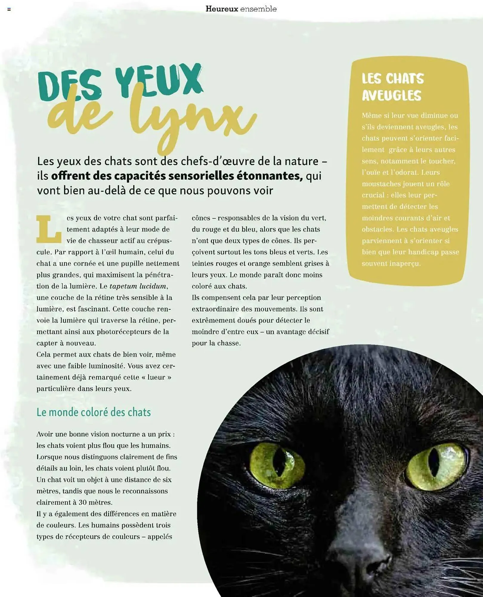 Catalogue Maxi Zoo du 1 octobre au 20 novembre 2025 - Catalogue page 51