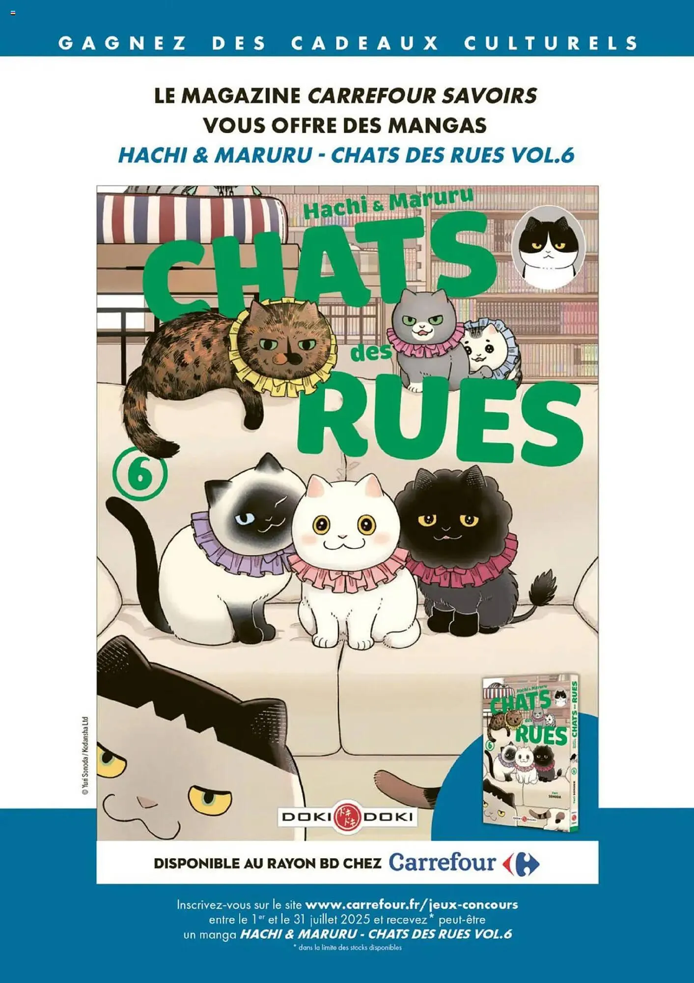 Catalogue Carrefour du 1 juillet au 31 juillet 2025 - Catalogue page 47