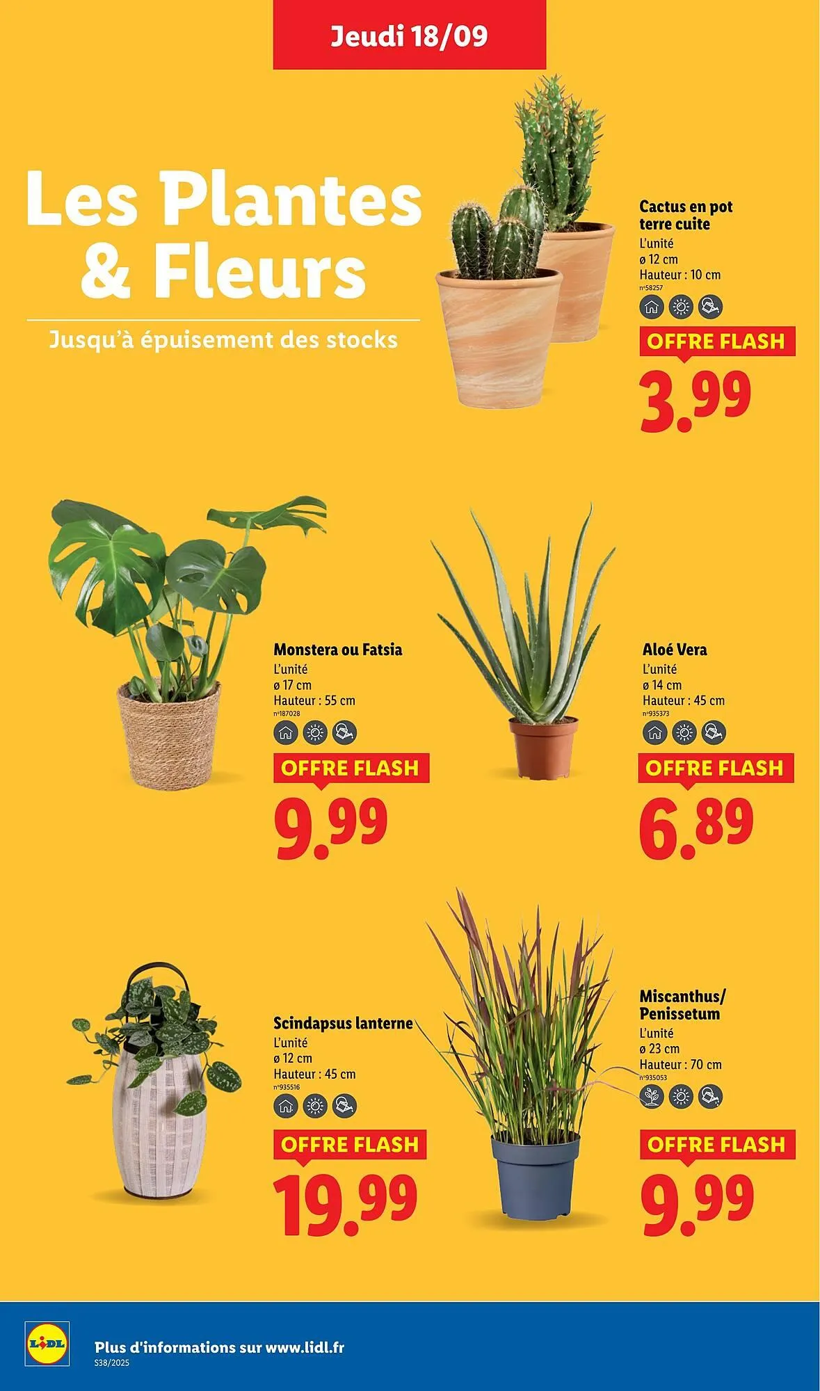 Catalogue Lidl du 18 septembre au 24 septembre 2025 - Catalogue page 30
