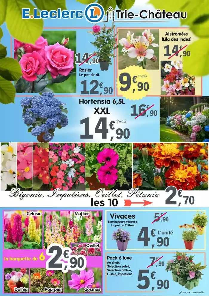 GRAND ARRIVAGE FLEURS ET PLANTES du 7 mai au 10 mai 2025 - Catalogue page 2