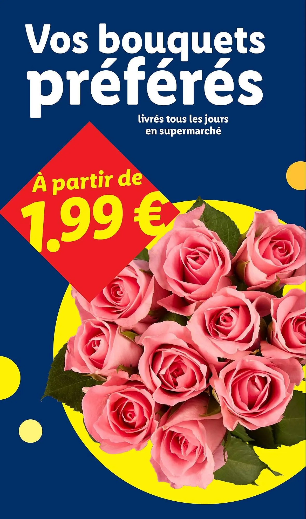 Catalogue Lidl du 12 mars au 18 mars 2026 - Catalogue page 28