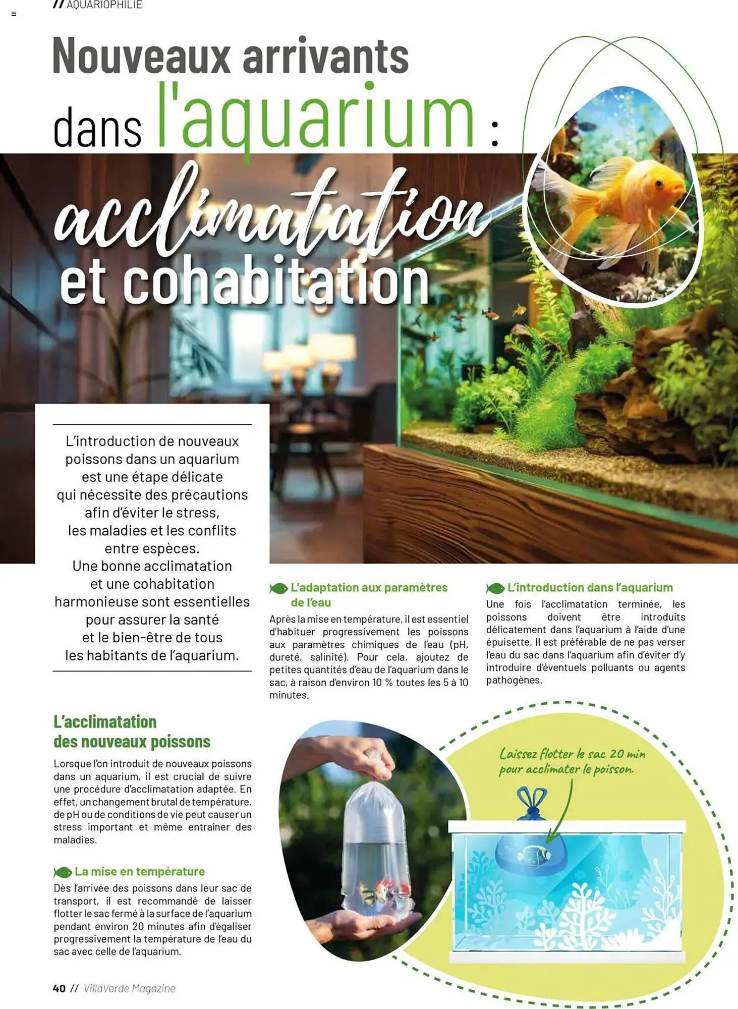 Catalogue VillaVerde du 20 mai au 1 janvier 2026 - Catalogue page 144