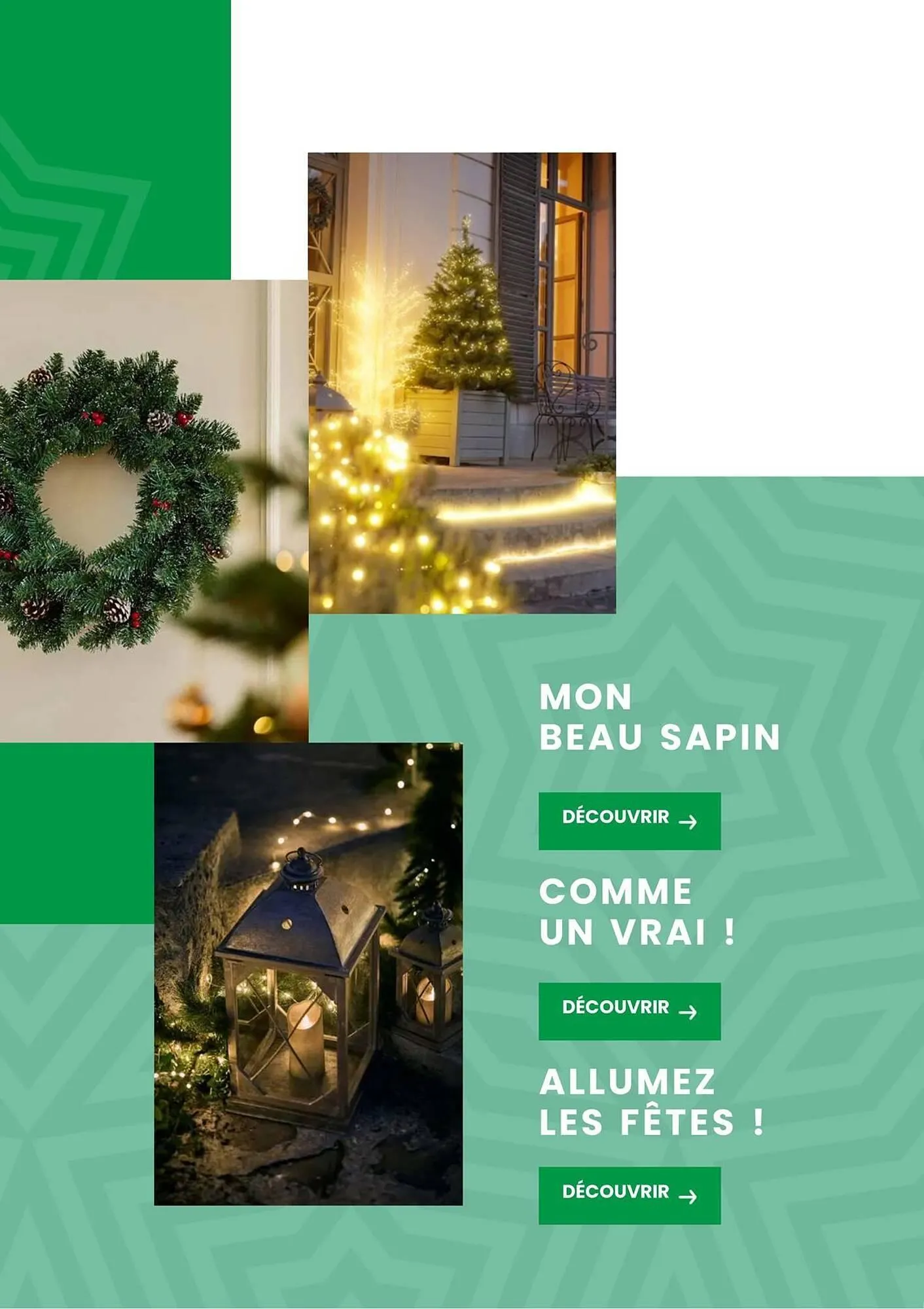 Catalogue Truffaut du 2 décembre au 31 décembre 2025 - Catalogue page 30