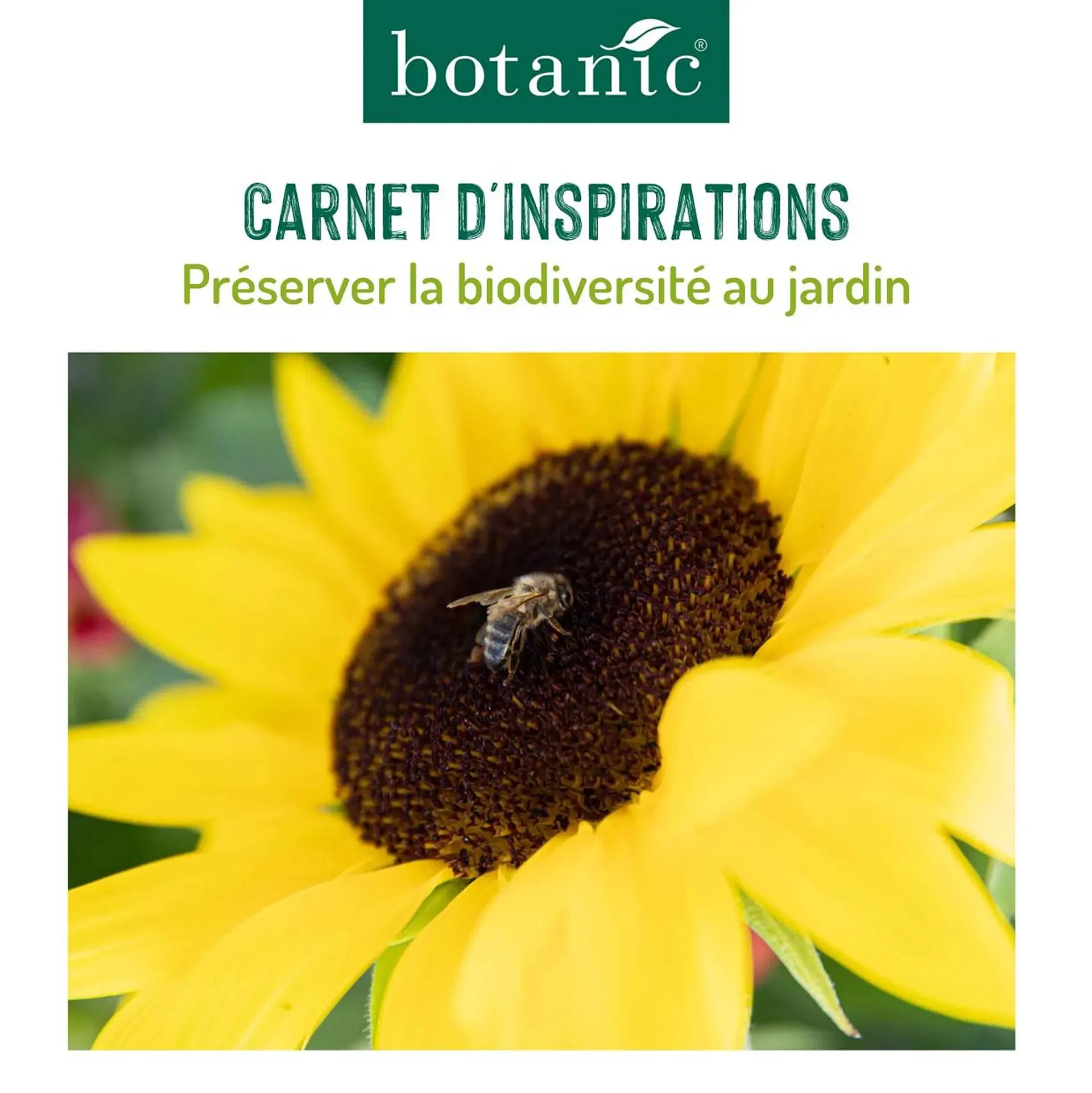 Catalogue Botanic - 1