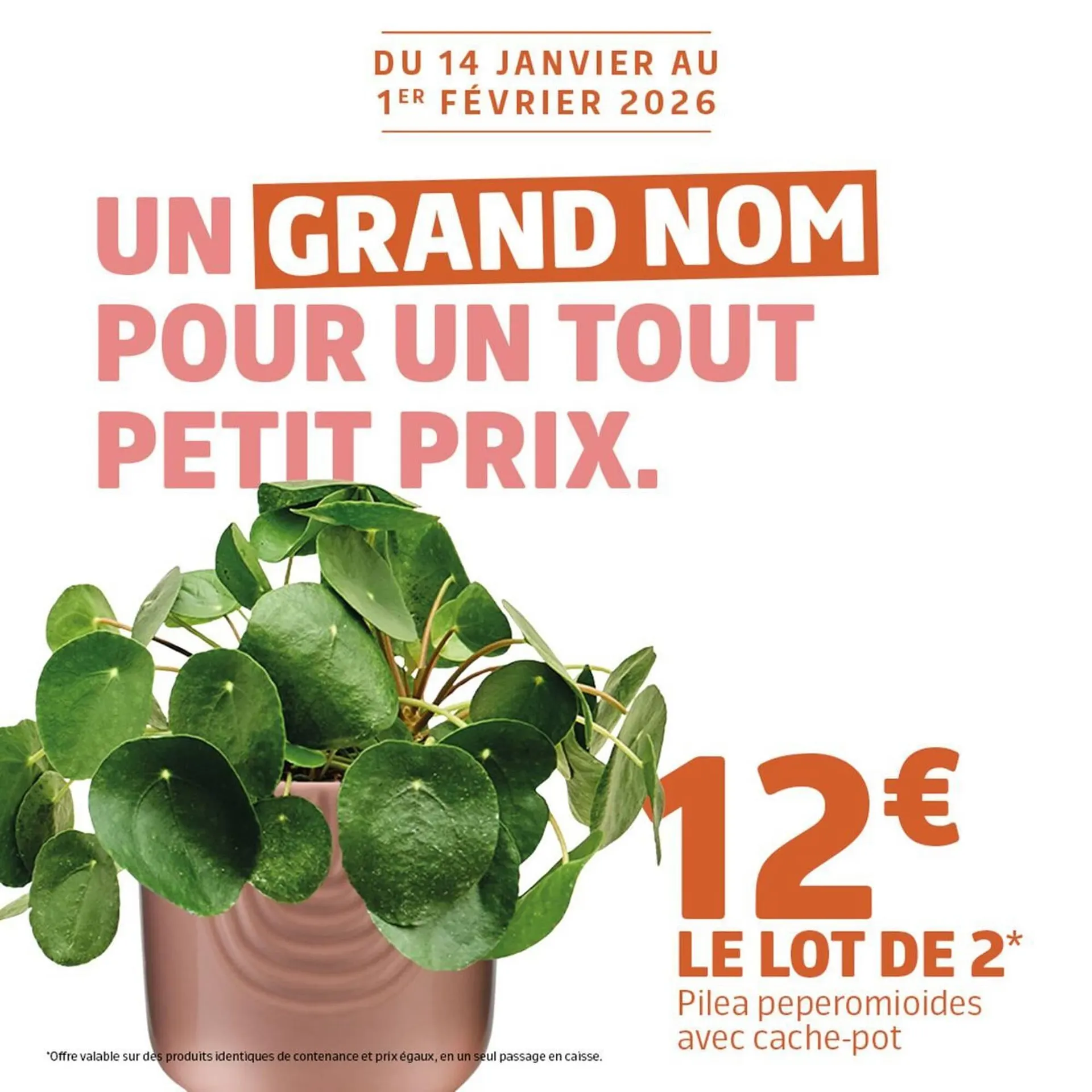 Catalogue Jardiland du 27 janvier au 1 février 2026 - Catalogue page 4