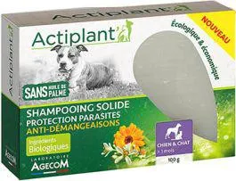 Shampoing solide anti demangeaisons pour chien et chat