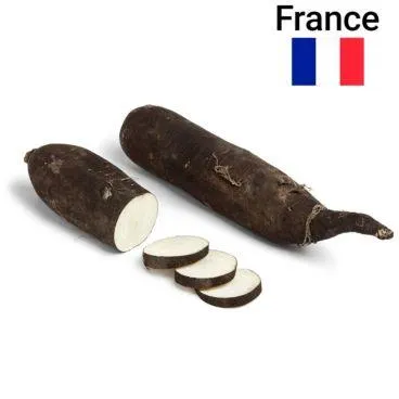 Radis Noir 500g Bio