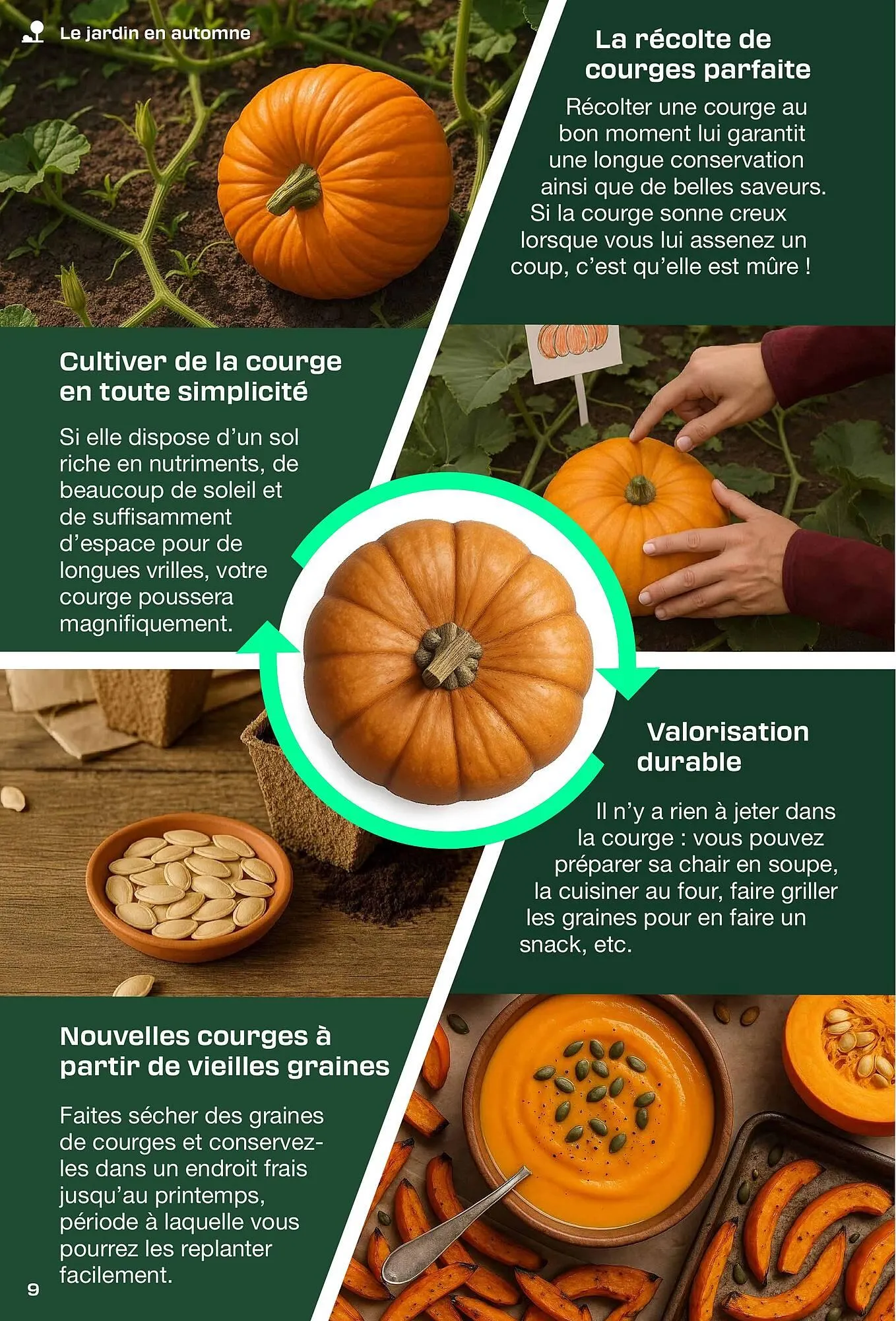 Catalogue Lidl du 2 octobre au 30 novembre 2025 - Catalogue page 9