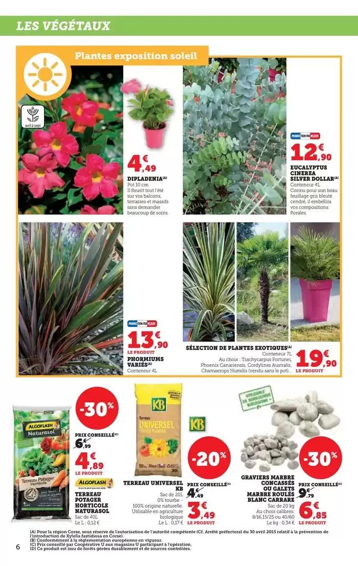 Spécial Jardin du 15 avril au 27 avril 2025 - Catalogue page 6