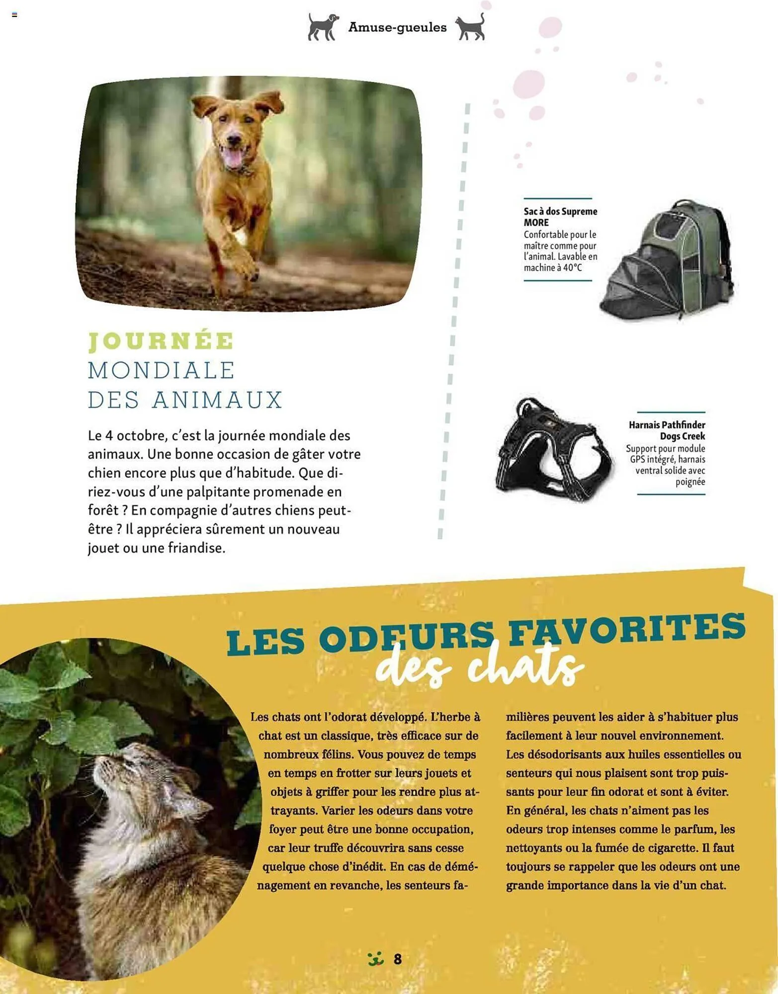 Catalogue Maxi Zoo du 1 septembre au 3 novembre 2024 - Catalogue page 8