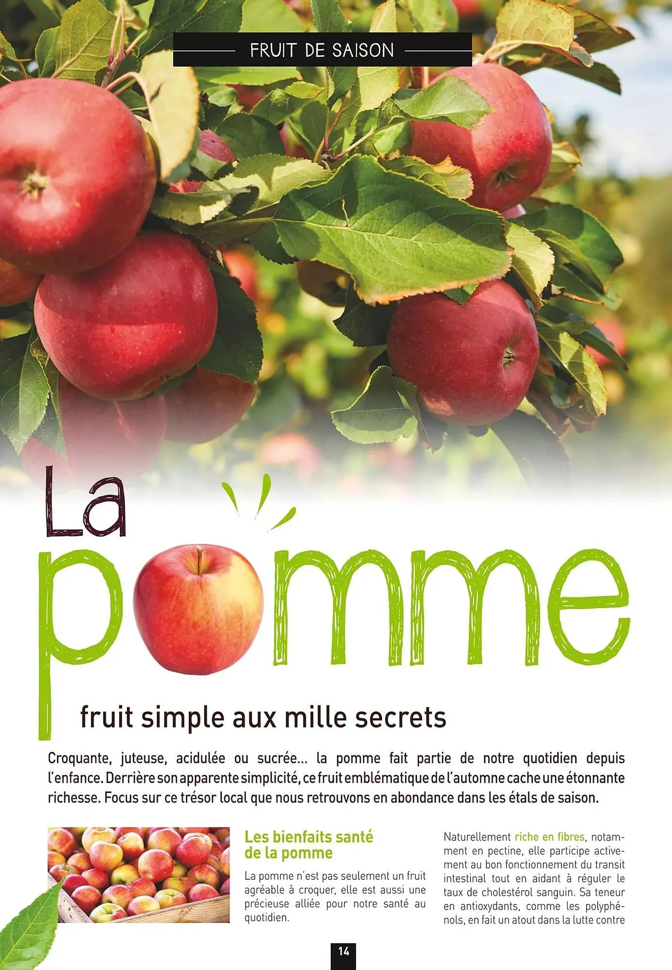 Catalogue naturéO du 18 septembre au 21 décembre 2025 - Catalogue page 14