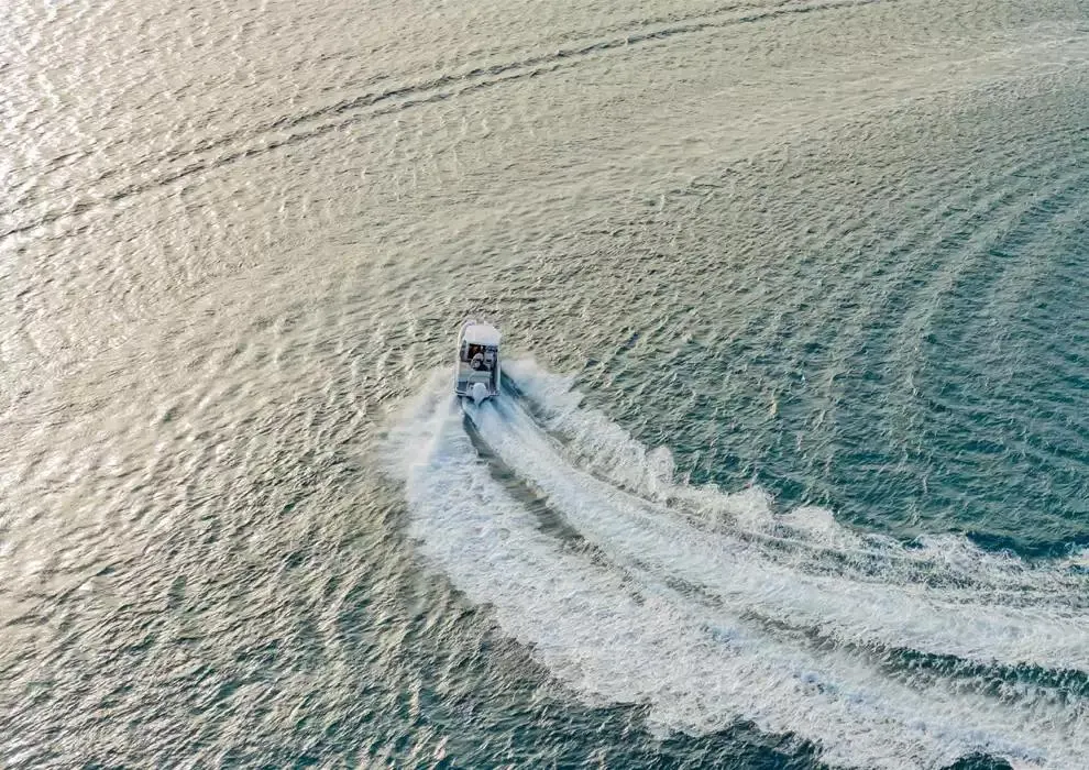 Premium 225 - 450 ch du 21 octobre au 21 août 2025 - Catalogue page 18