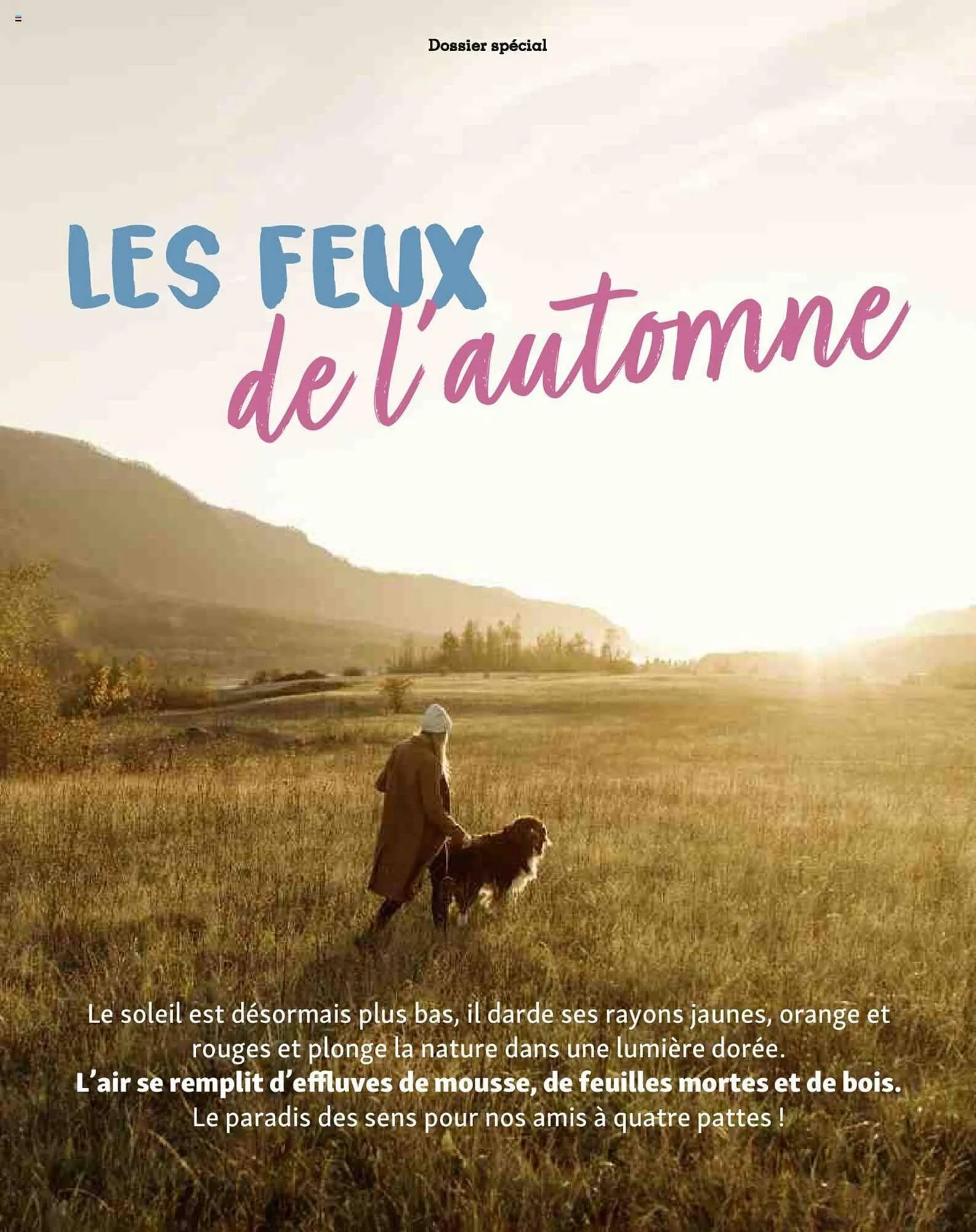 Catalogue Maxi Zoo du 1 septembre au 3 novembre 2024 - Catalogue page 11