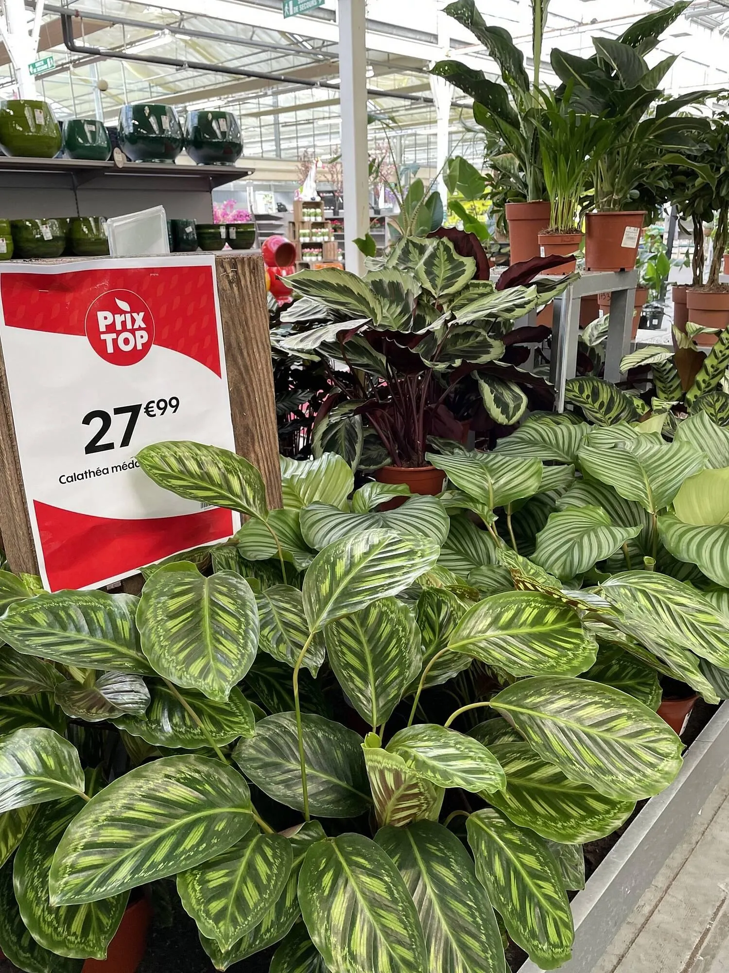 Catalogue Truffaut du 6 février au 22 février 2026 - Catalogue page 4