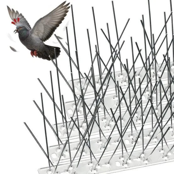 Pic Anti-Pigeon en Acier Inoxydable 6.5M Pack de 26 modules