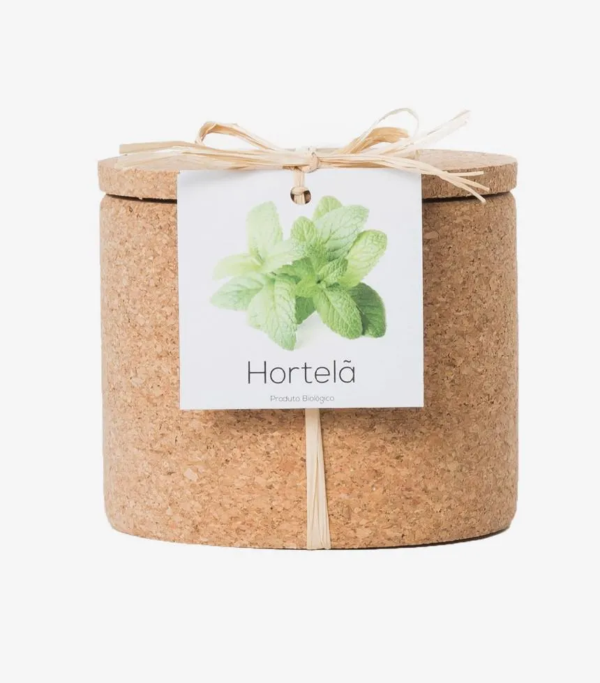 POT LIEGE BIO Menthe