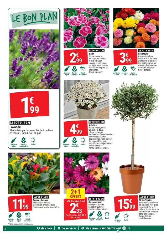 GAMM VERT MANIA du 19 mars au 30 mars 2025 - Catalogue page 2
