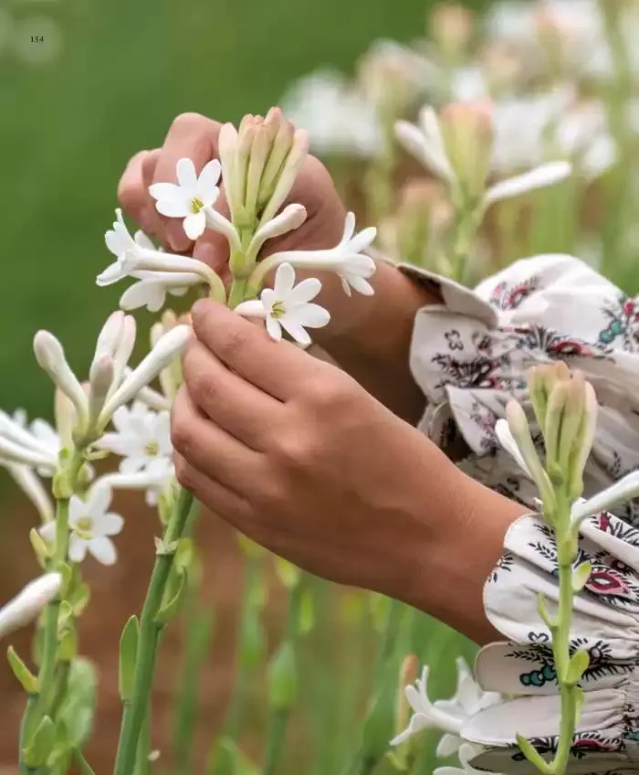 Printemps/Été 2025 du 17 mars au 23 septembre 2025 - Catalogue page 156