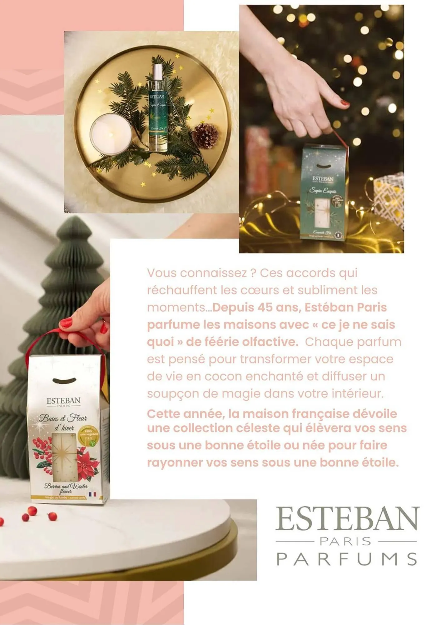 Catalogue Truffaut du 2 décembre au 31 décembre 2025 - Catalogue page 48