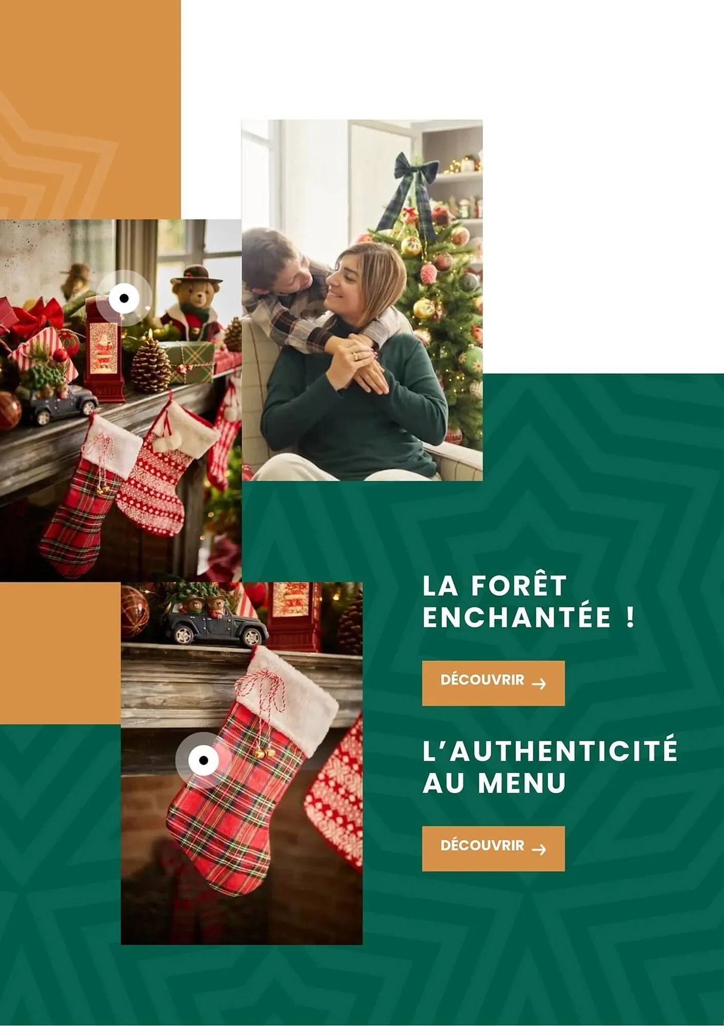 Catalogue Truffaut du 2 décembre au 31 décembre 2025 - Catalogue page 14