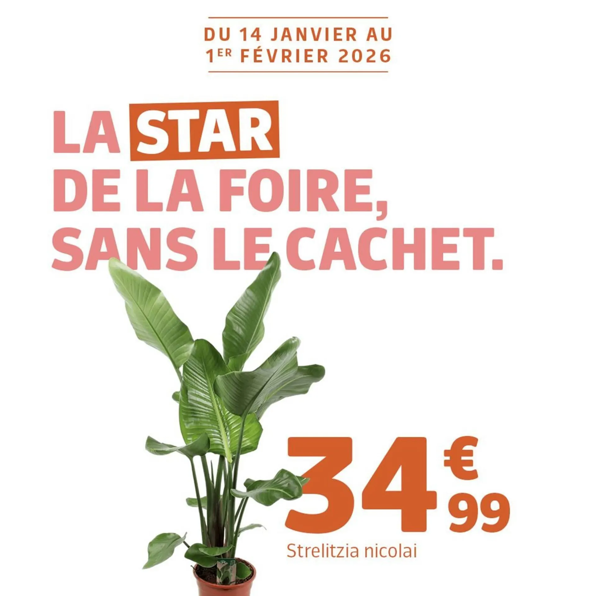 Catalogue Jardiland du 27 janvier au 1 février 2026 - Catalogue page 3