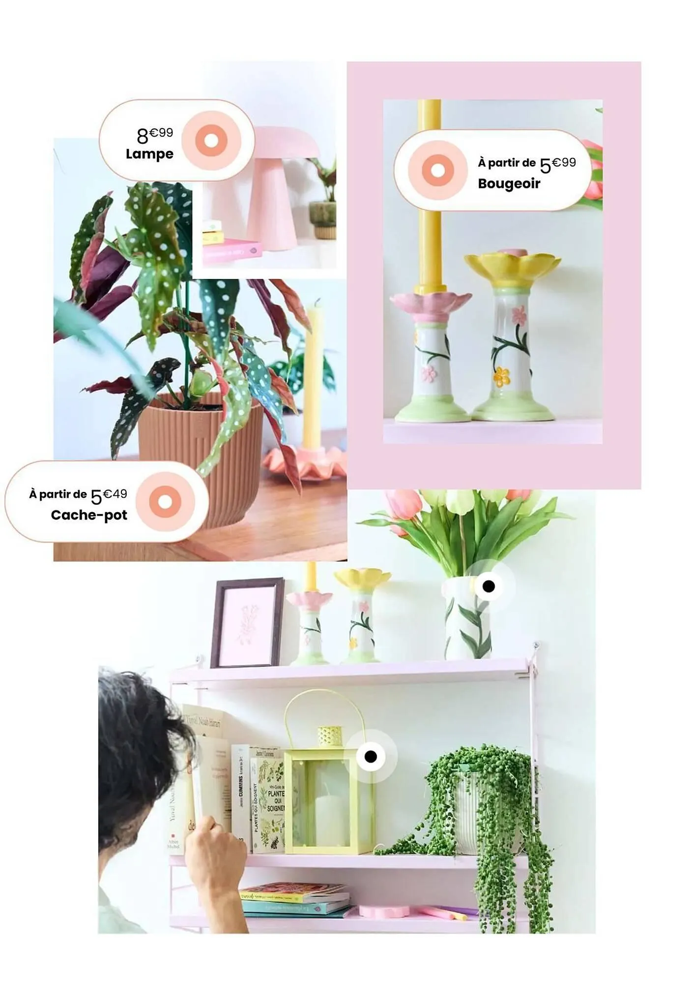 Catalogue Truffaut du 7 avril au 31 mai 2026 - Catalogue page 20