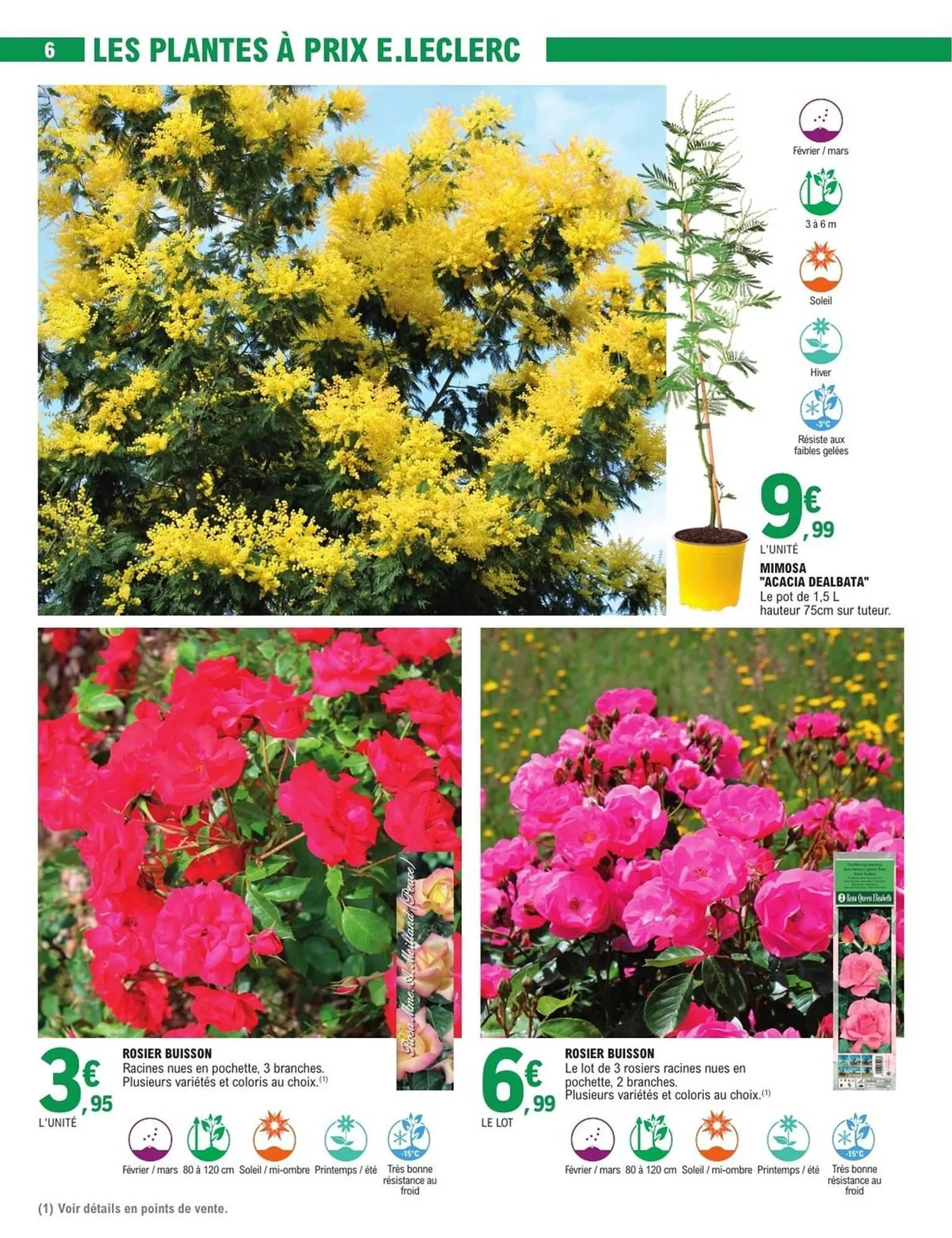 Catalogue E.Leclerc du 16 février au 28 février 2026 - Catalogue page 6