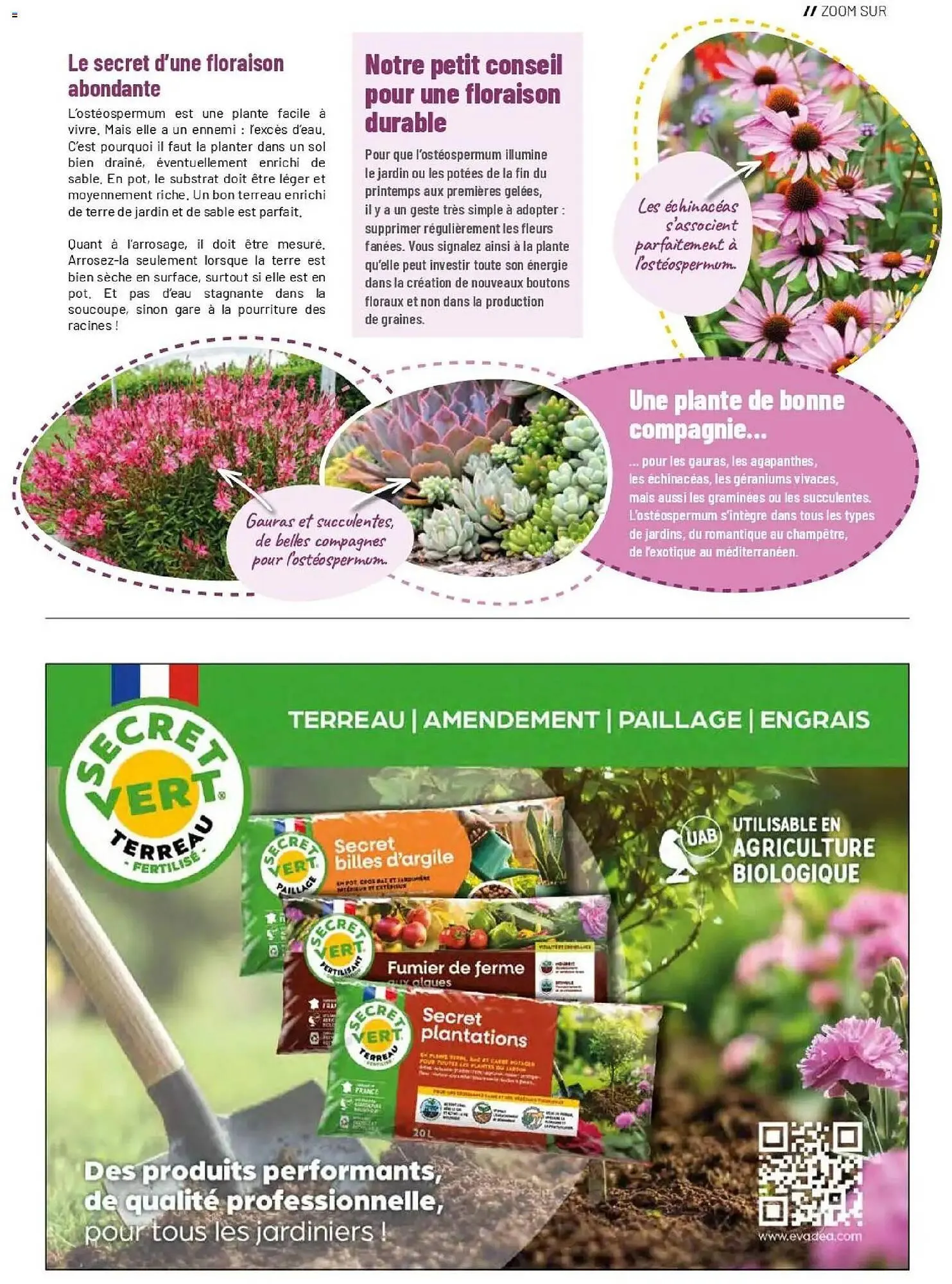 Catalogue VillaVerde du 1 avril au 30 septembre 2026 - Catalogue page 19