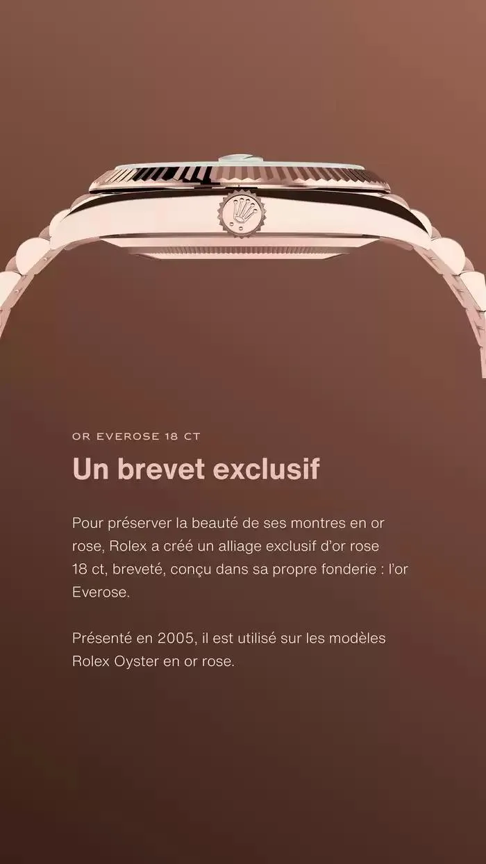 Rolex Day Date du 13 décembre au 13 décembre 2025 - Catalogue page 7