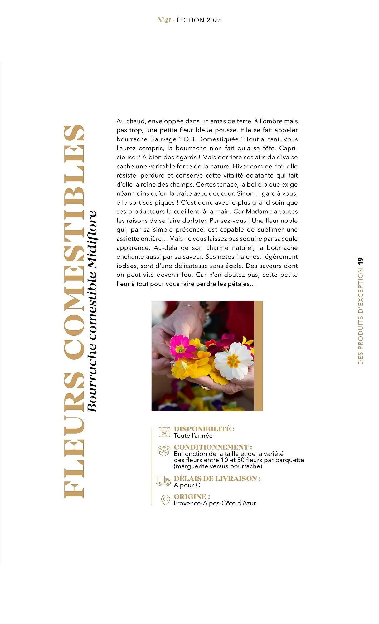 Catalogue METRO du 1 juillet au 31 décembre 2025 - Catalogue page 19