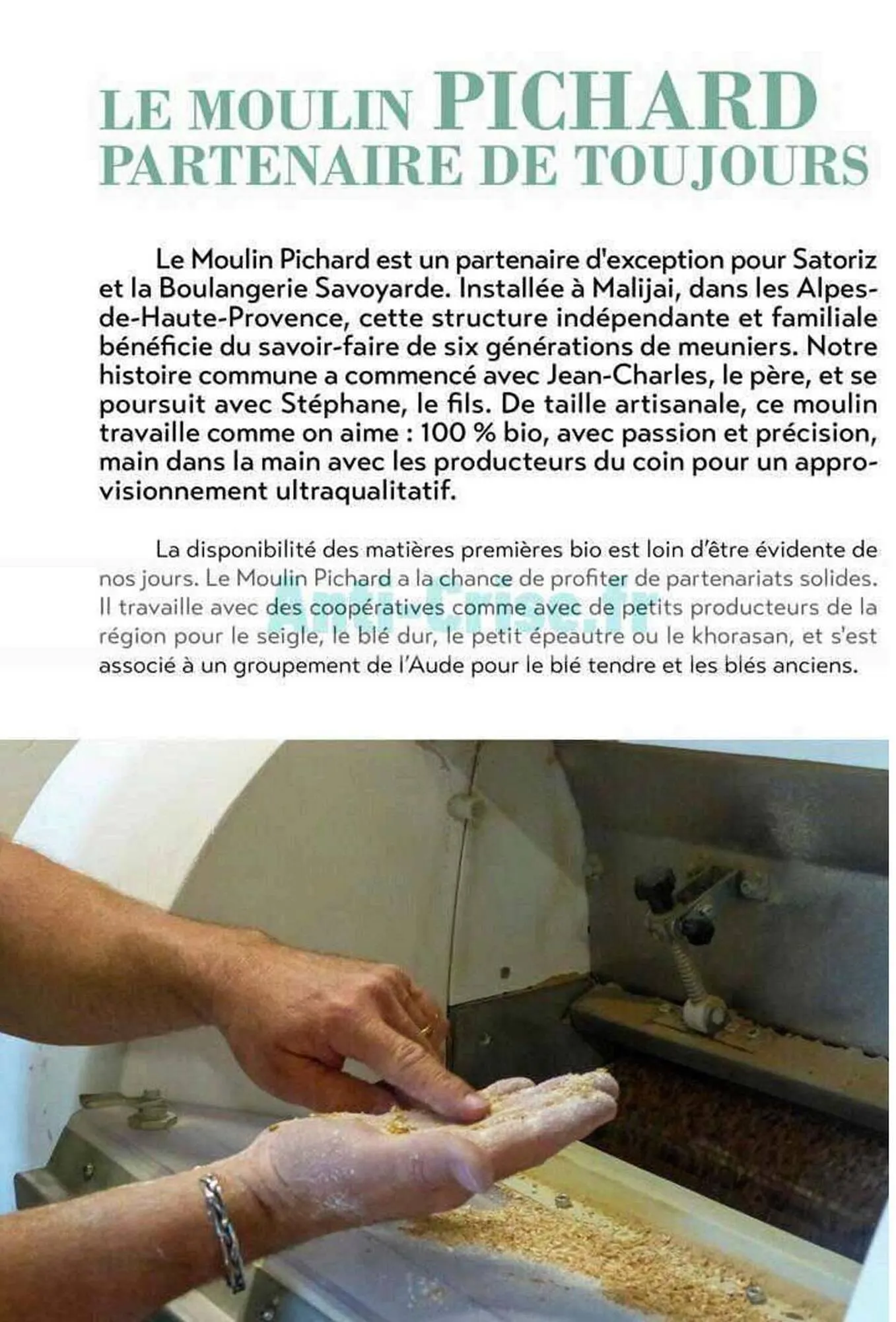 Catalogue Satoriz du 7 mai au 30 juin 2026 - Catalogue page 8