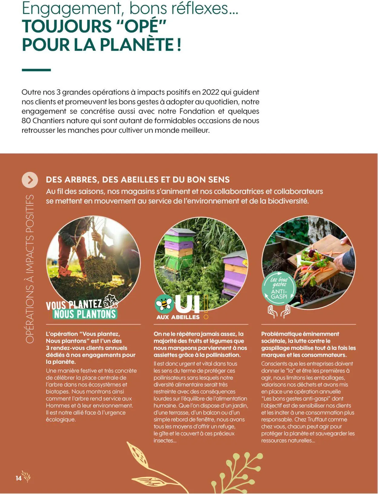 Truffaut du 1 janvier au 31 décembre 2030 - Catalogue page 14