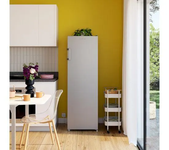 SIGNATURE Congélateur armoire SCA206NFS/E 206L